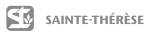 GREY Logo VST horizontal blanc